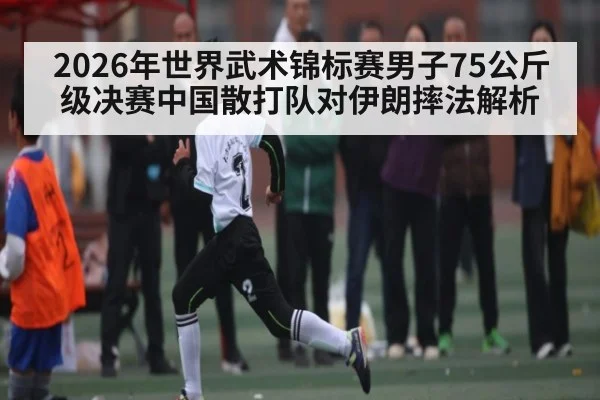 2026年世界武术锦标赛男子75公斤级决赛中国散打队对伊朗摔法解析